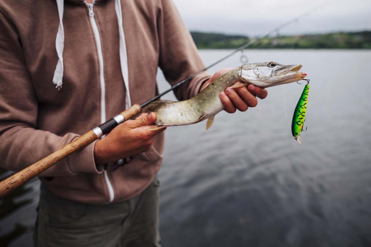 Fishing by the River Sava